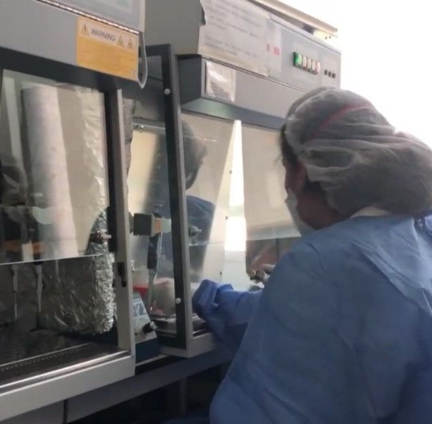 Coronavirus, pronti i kit prodotti &quot;in house&quot; per eseguire i tamponi [VIDEO]