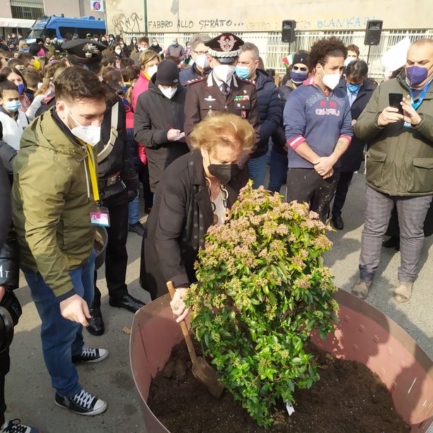 L'Albero della Legalità trova casa a Borgo Dora grazie a Maria Falcone e al Cottolengo