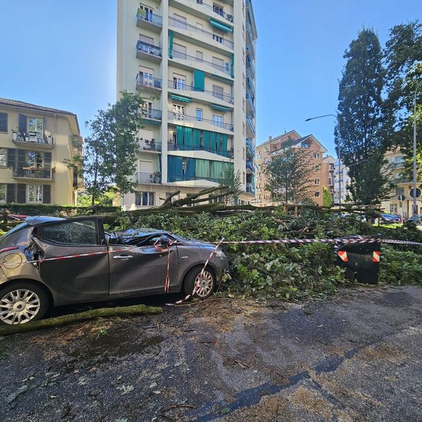 Lungo Po e Vanchiglietta fanno i conti col clima impazzito: alberi sradicati dal vento e tronchi in strada, tragedia sfiorata [FOTO]