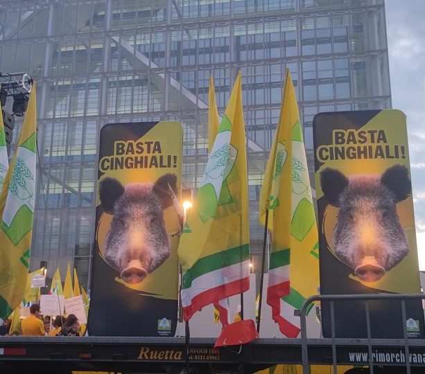 Gli agricoltori sotto la Regione per chiedere l'abbattimento dei cinghiali: &quot;È un'emergenza&quot;