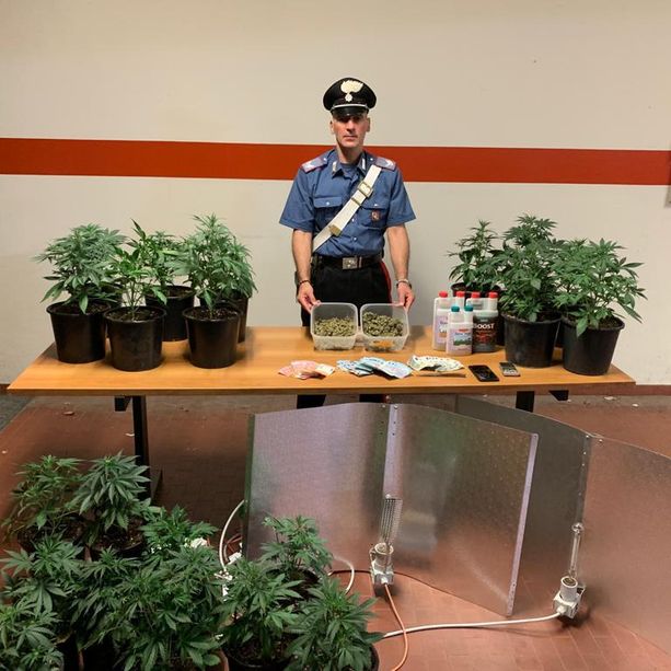 La ricetta per la marijuana? Nascosta in cucina tra le spezie e gli aromi: un arresto a San Mauro [VIDEO]
