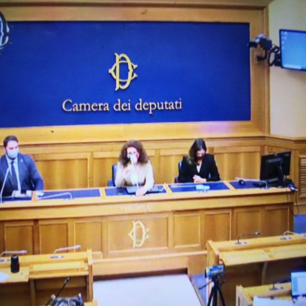 Affidi &quot;facili&quot; in Piemonte, FdI presenta esposto al ministro Cartabia:&quot;Giro di 12 mln di euro per il sistema&quot;