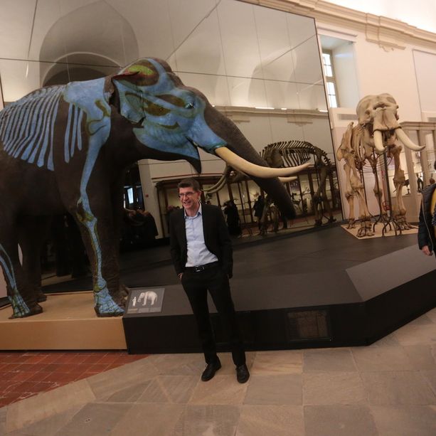 Riapre il Museo di Scienze Regionali: &quot;Torino lo ama&quot;. E fino al 2 febbraio si entra gratis