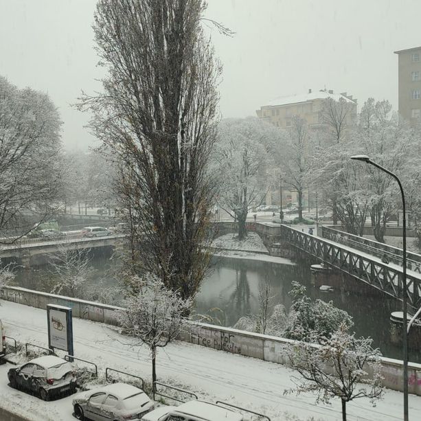 Caos bianco a Torino, Foglietta: &quot;Nelle prossime settimane nuovo piano neve&quot;
