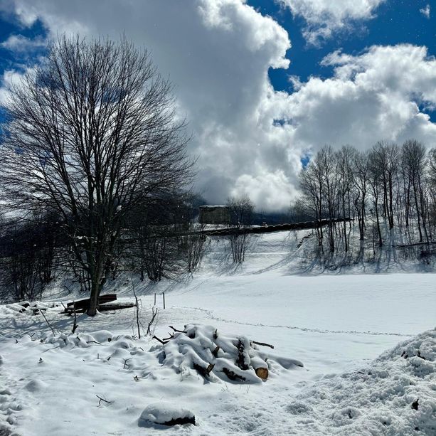 Il Piemonte sguazza nella neve (+62%) e si ritrova con tutti i fiumi pieni d'acqua