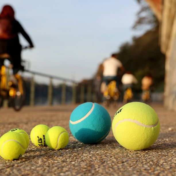 Atp Finals 2022, oltre 150 milioni di ricadute economiche per Torino: &quot;Uno spettatore su due ha visitato i musei&quot;