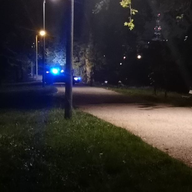 Rinvenuto un residuato bellico lungo il Po, chiusa parte del Parco Michelotti