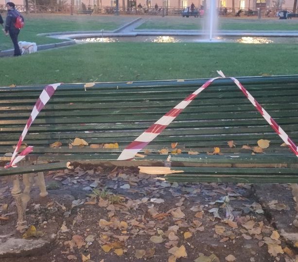 Vandali in città: distrutta una panchina in centro e delle piante in San Salvario