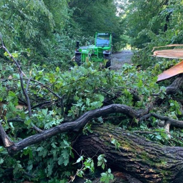Maltempo, il nubifragio costringe alla chiusura il parco della Mandria