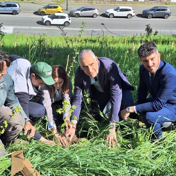 Dopo le polemiche in corso Belgio, Torino è più verde: 750 nuove piante lungo la Dora Riparia. Tresso: &quot;La città investe sulla natura&quot;