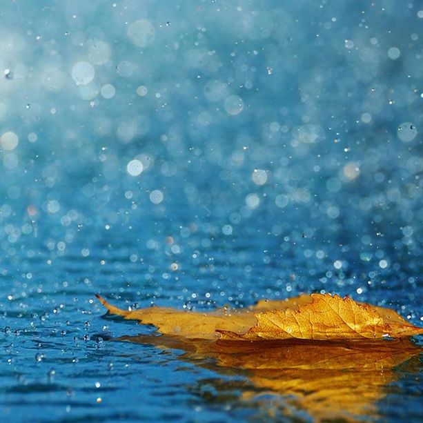 Weekend autunnale, sabato pioggia nel Torinese. Ma domenica migliora