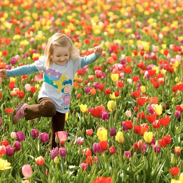 Inizio settimana con bel tempo primaverile, ma da giovedì rischio di piogge