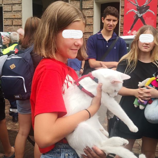 Torrnano a casa gli orfani ucraini ospitati a Castellamonte. Tra loro anche il gatto Simba, unico sopravvissuto per Sasha [FOTO]