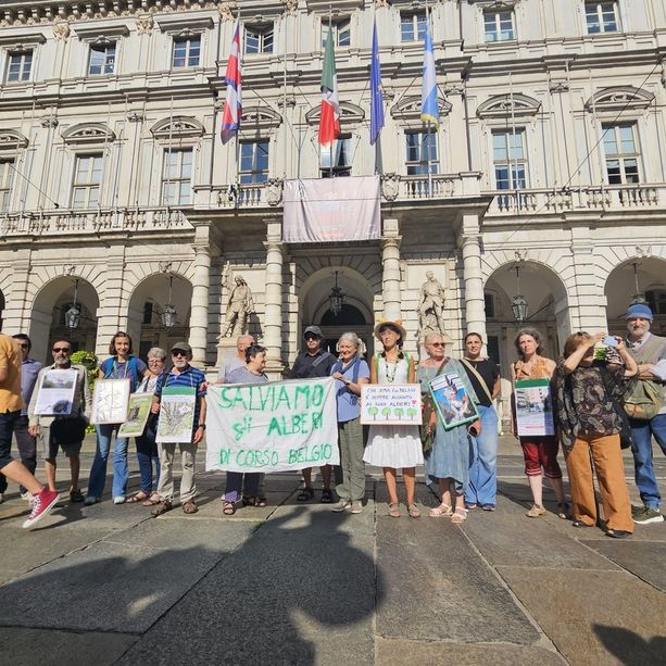 Da corso Belgio la protesta in difesa degli alberi arriva sotto il Comune: &quot;Tagliate 166 piante e mai sostituite&quot; [FOTO]