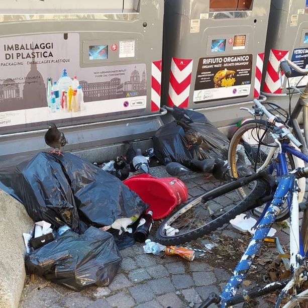 Ecoisole, il piano di Amiat contro gli abbandoni selvaggi: cassonetti più grandi e passaggi domenicali