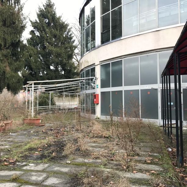 Parco del Valentino, pubblicata la gara per la concessione della Rotonda: un mese per presentare le offerte