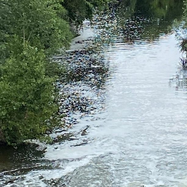 Litiga con i genitori e si butta nel Sangone: la pioggia che gonfia il fiume &quot;salva&quot; una ragazzina a Nichelino
