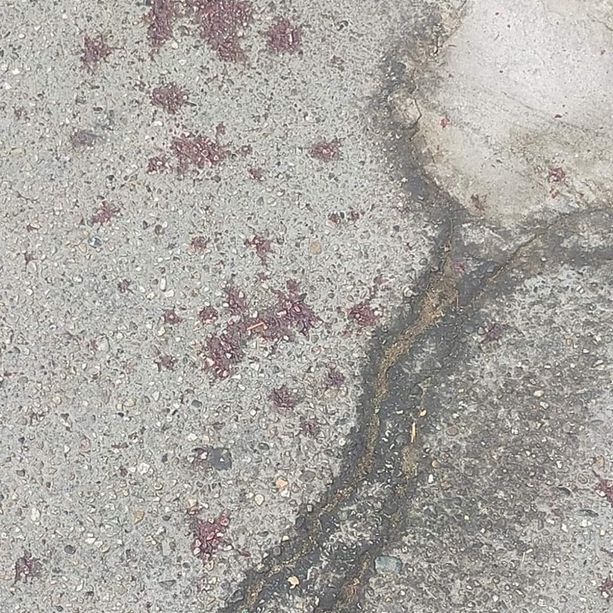 Notte di follia a Vanchiglia, sangue e auto danneggiate. Lo Russo: &quot;Intollerabile&quot;