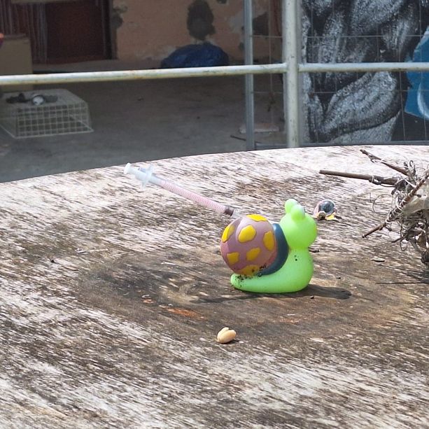 Sgomberata la &quot;Barca occupata&quot; di via Avondo: vetri rotti, mura imbrattate e materassi fatiscenti [FOTO]