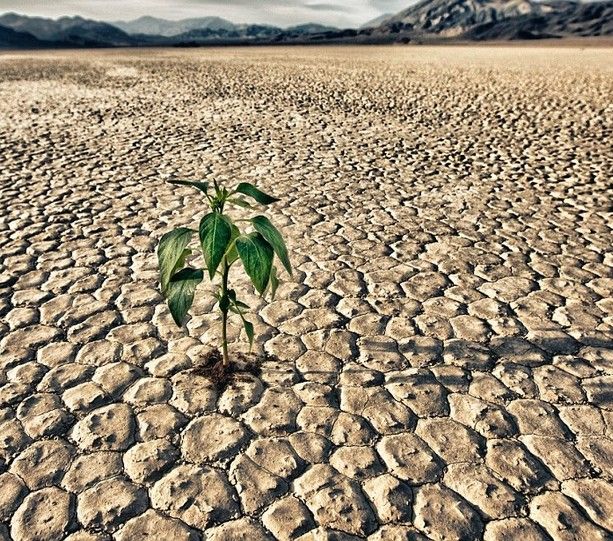 Crisi idrica: Pinerolo emana l’ordinanza per limitare l’uso dell’acqua potabile