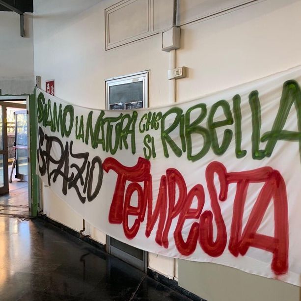 Palazzo Nuovo, studenti e collettivi occupano aula studio: “Siamo la natura che si ribella”