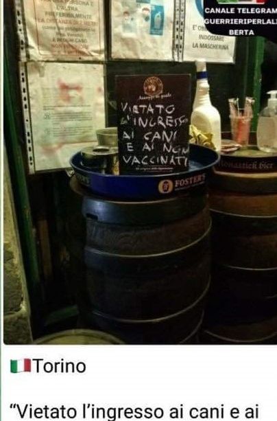 &quot;Vietato l'ingresso ai cani e ai non vaccinati&quot;: bufera su un pub torinese. &quot;Qui ci vogliono le molotov&quot;