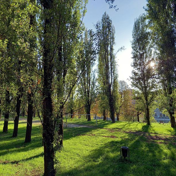 A Torino ruota panoramica ai Giardini Ginzburg, Lo Russo: &quot;Ci stiamo lavorando&quot;