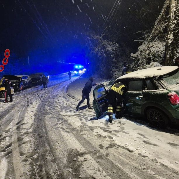 FOTO. Piante pericolanti, incidenti e blackout: la neve provoca disagi. Numerosi interventi dei vigili del fuoco
