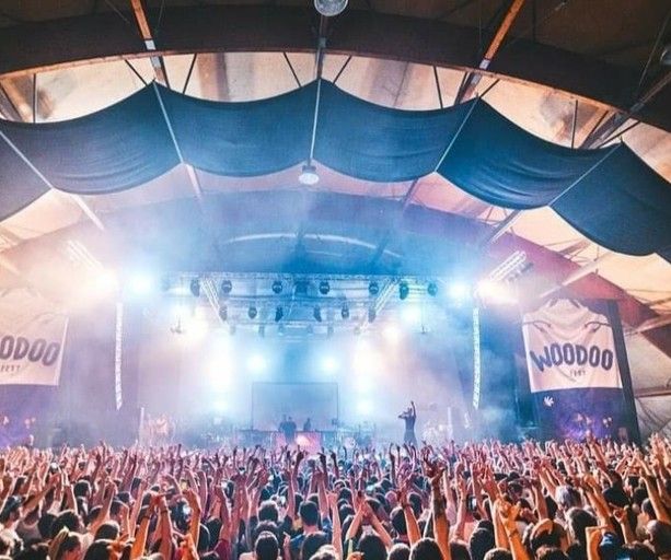 I cinque giorni del Woodoo fest,  da Massimo Pericolo a The Zen Circus passando per Myss Keta