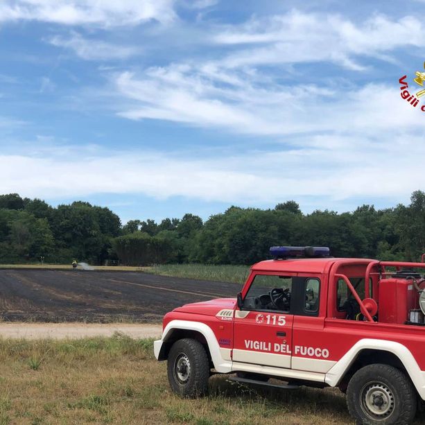 Fiamme nel campo a Gorla Maggiore: vicino c'era una ditta di pallet