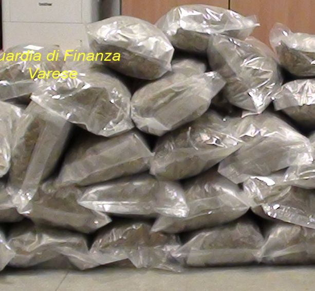 Maxi giro di droga scoperto dalla Finanza: i soldi venivano riciclati tramite società. Tre persone indagate