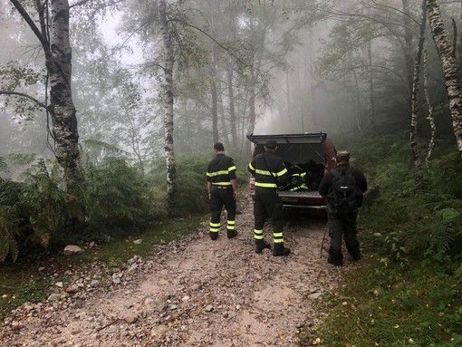 Cercatore di funghi besozzese si perde nella nebbia: recuperato dai vigili del fuoco