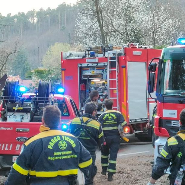 FOTO. Ancora fiamme nel Varesotto: bruciano i boschi a Vergiate, Tradate e Casale Litta