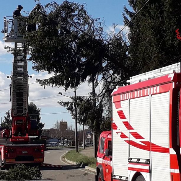 Raffiche di forte vento spazzano il Varesotto: vigili del fuoco al lavoro per piante cadute e incendi
