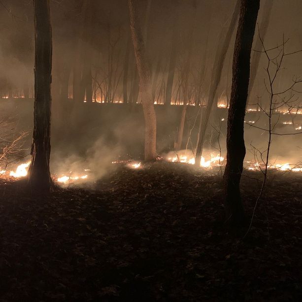 FOTO. Tornano a bruciare i boschi del Varesotto: fiamme in Valle Olona e a Jerago