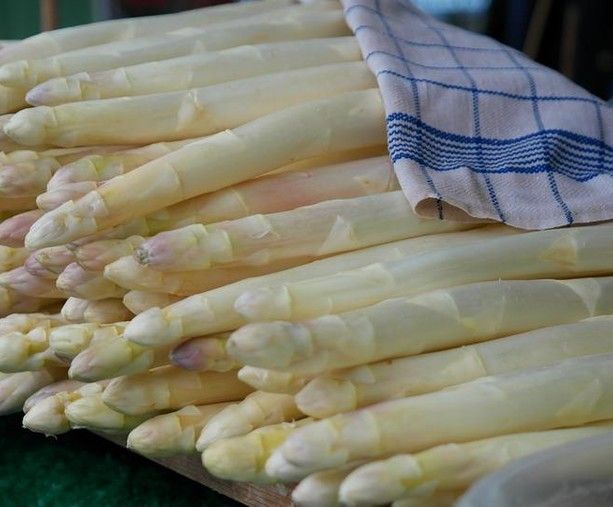 Pronta oltre una tonnellata di asparagi: al via l’ottantunesima Fiera a Cantello