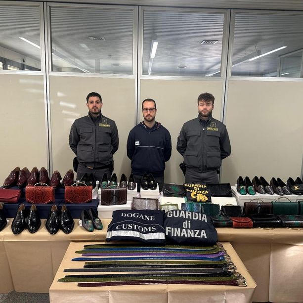 Al confine con scarpe, borse e cinture realizzate con pelle di animali in via d'estinzione, la Finanza di Como denuncia un uomo