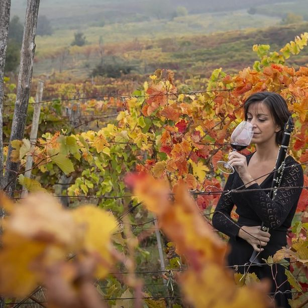 Come abbinare vino e musica. L'arte di Anna Sgarbossa la sommelier musicista della Valceresio