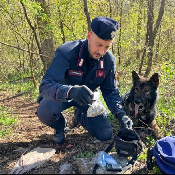 Boschi dello spaccio a Oggiona Santo Stefano: i cani Kevin e Adolf fiutano la droga sotto la vegetazione. Controllate una cinquantina di persone