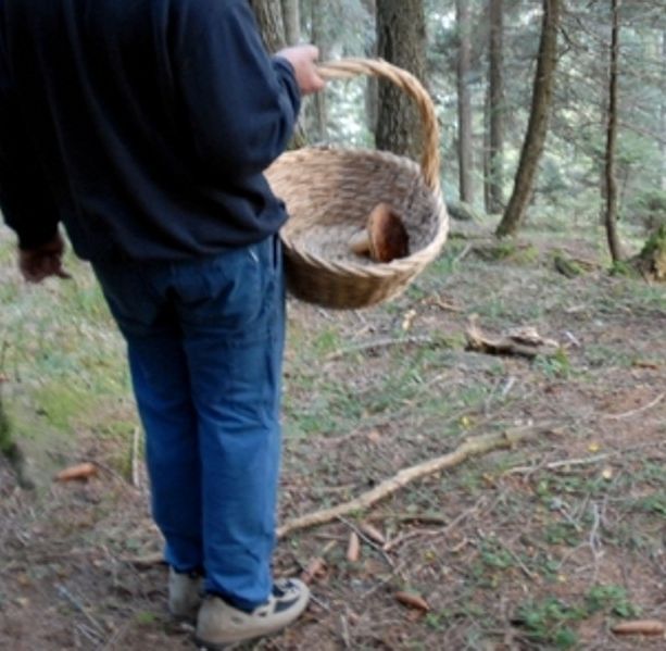 Malore fatale in Valsesia per un cercatore di funghi di Cardano al Campo