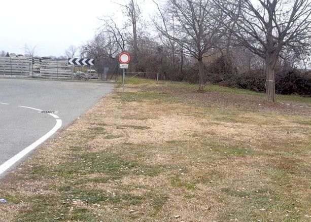 Auto esce di strada e si schianta contro un albero: quattro giovanissimi feriti, due sono della provincia di Varese