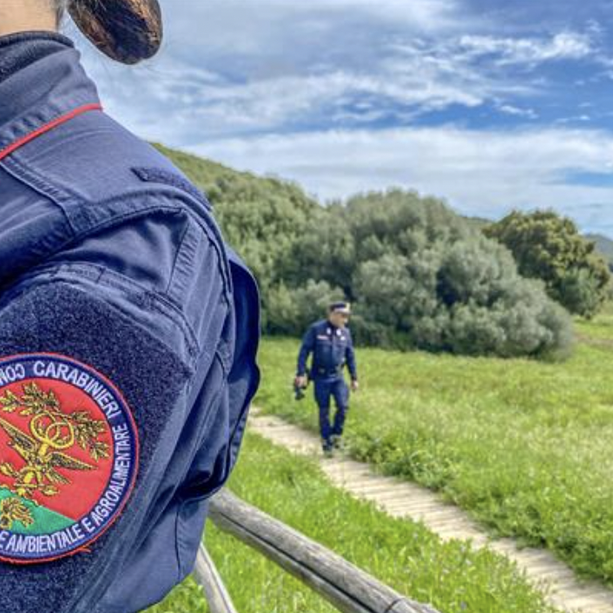 Porto Valtravaglia, sostanze tossiche nel torrente: i carabinieri denunciano il titolare di una ditta