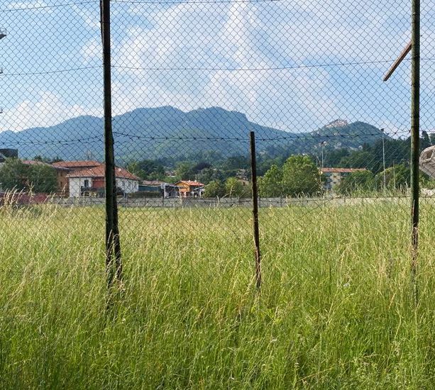 FOTO. Tra poco al Franco Ossola si torna a tagliare il fieno. O aspettiamo la pista del ghiaccio per &quot;congelare&quot; la foresta dietro i distinti?