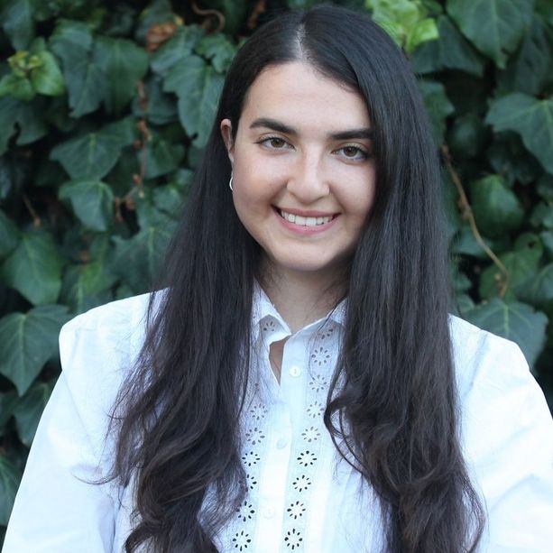 Insulti sessisti e razzisti nei confronti della consigliera PD varesina Yildiz