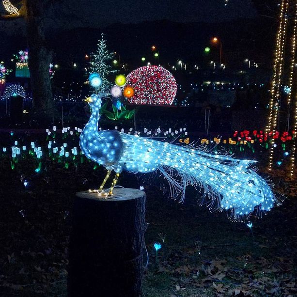 Le lucine di Laveno &quot;illuminano&quot; tutta la città e fanno sognare gli innamorati