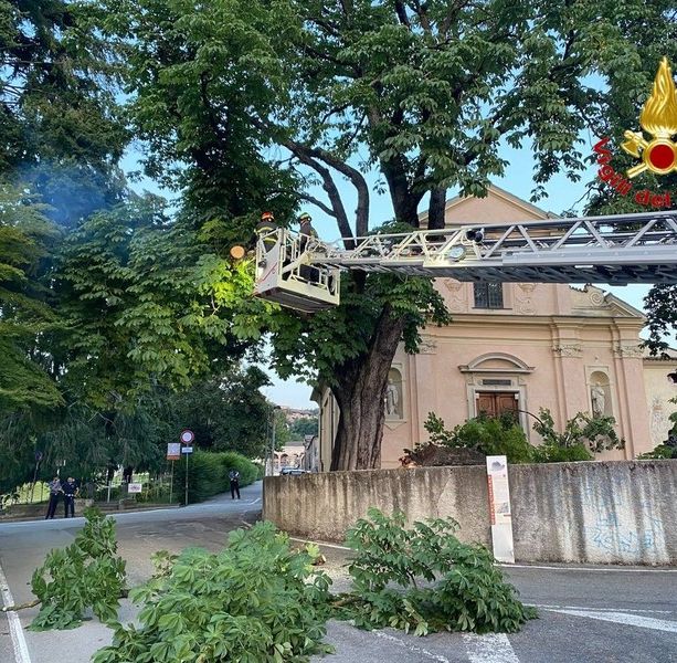 Albero crollato a Luino, sotto sequestro l'area davanti alla chiesa: le indagini dei carabinieri