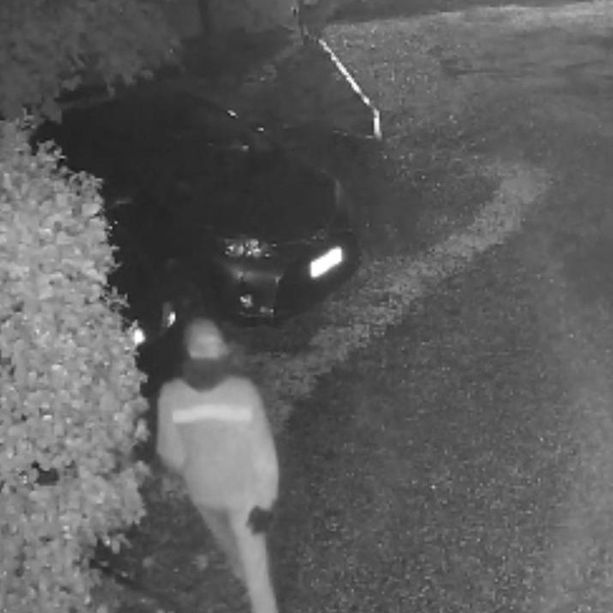 Ladri in casa del presidente della Croce Rossa di Luino che li scopre e riesce a metterli in fuga