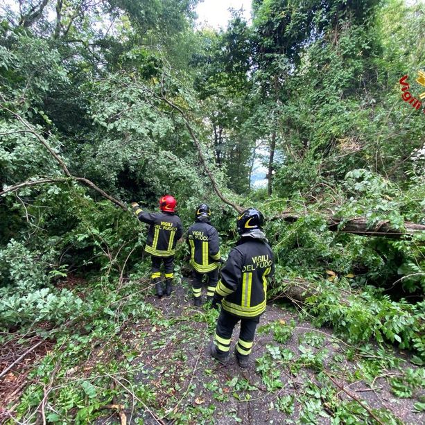 FOTO. Nottata di maltempo e danni nell'Alto Varesotto. Disagi sulla 394, alberi caduti a Luino: interrotta la strada per Agra