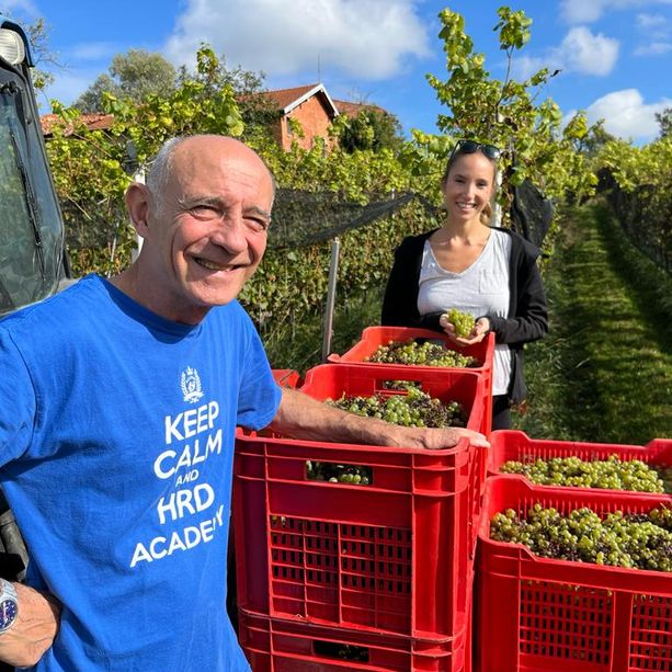 VIDEO. La vendemmia di Morazzone, ecco come nasce il vino &quot;made in Varese&quot;: «Chi lo assaggia resta a bocca aperta»