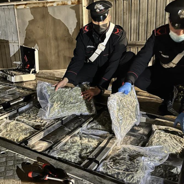 Maxi traffico di droga dalla Spagna: arresti all'alba a Varese, Gazzada e Porto Ceresio